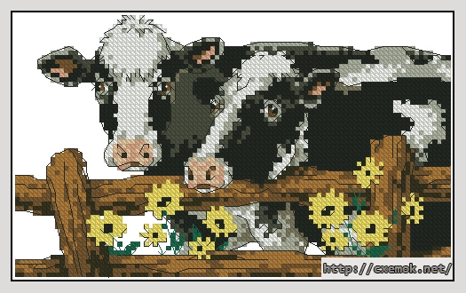 Download embroidery patterns by cross-stitch  - Cow chums, author 