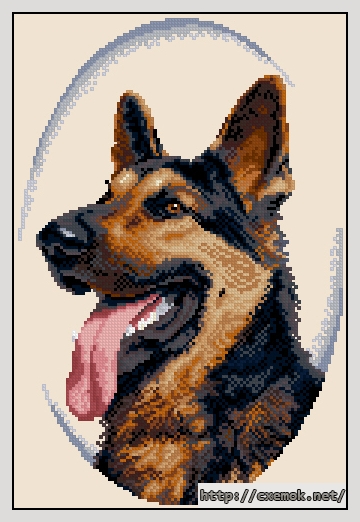 Download embroidery patterns by cross-stitch  - Немецкая овчарка, author 