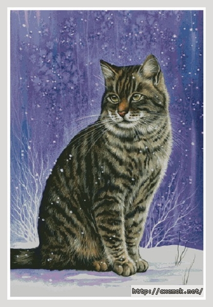 Download embroidery patterns by cross-stitch  - Winter tabby, author 