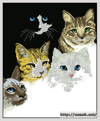 Скачать схему вышивки нитками Kit Cat''s Eyes, автор 