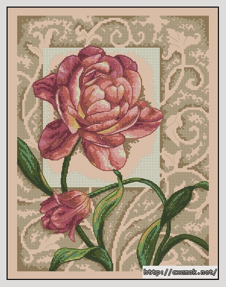 Download embroidery patterns by cross-stitch  - Graceful tulip, author 