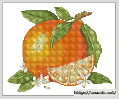 Download embroidery patterns by cross-stitch  - Orange, author 
