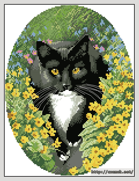 Download embroidery patterns by cross-stitch  - Black and white cat, author 