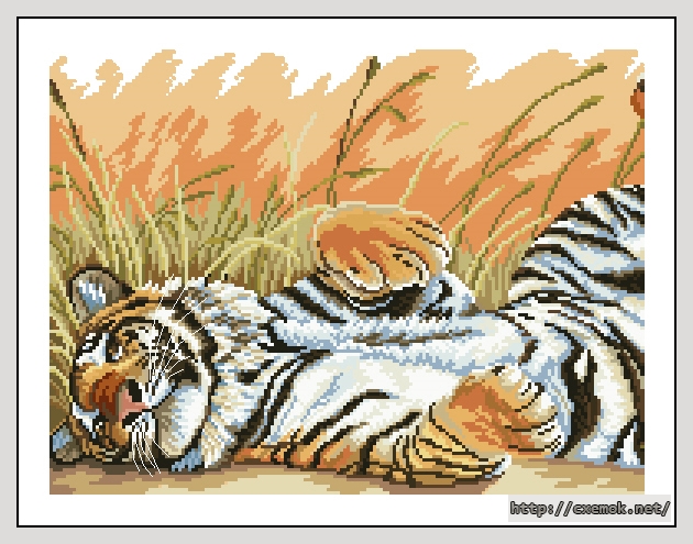 Скачать схему вышивки tigr siesta