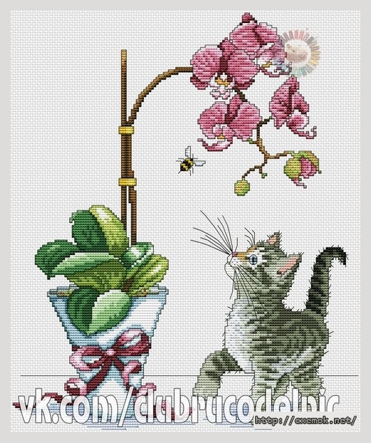 Скачать схему вышивки нитками Кот и орхидеи