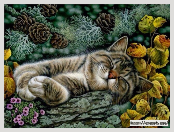 Download embroidery patterns by cross-stitch  - Котик, author 