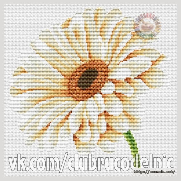 Download embroidery patterns by cross-stitch  - Гербера