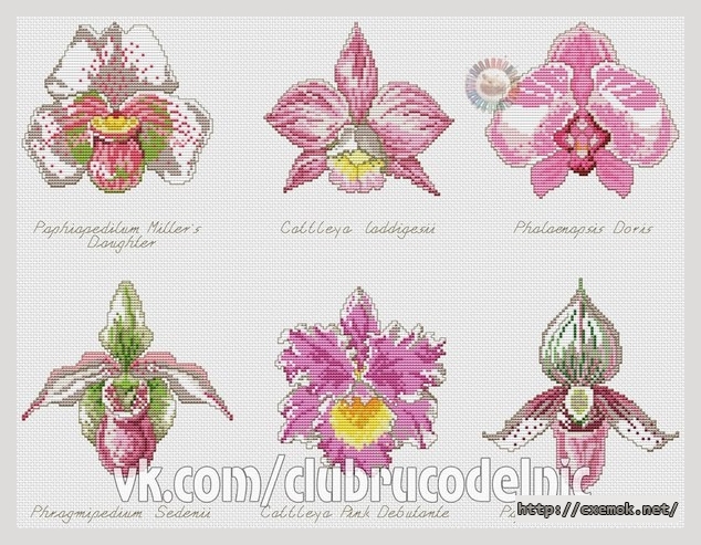 Завантажити схеми вишивки нитками / хрестом  - Орхидеи