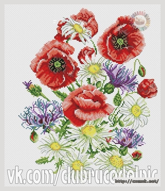 Download embroidery patterns by cross-stitch  - Маки и ромашки