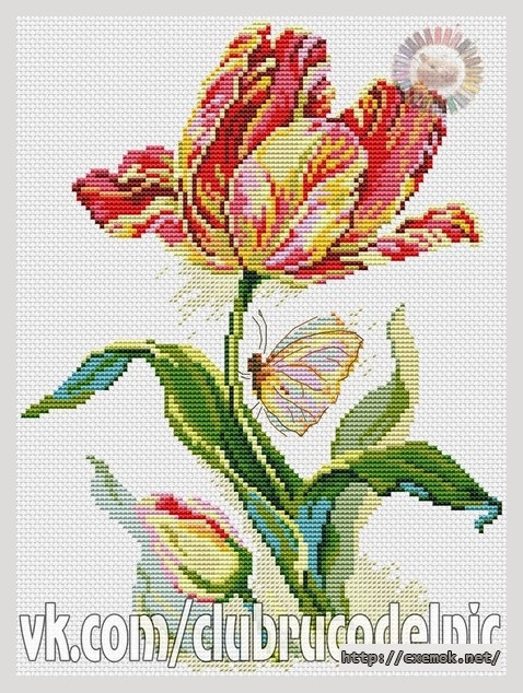 Download embroidery patterns by cross-stitch  - Тюльпан и бабочка