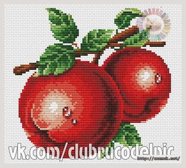 Download embroidery patterns by cross-stitch  - Яблоко