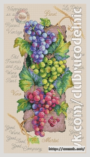 Download embroidery patterns by cross-stitch  - Хорошее вино