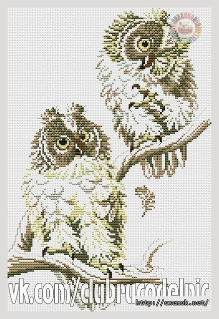Download embroidery patterns by cross-stitch  - Две совы