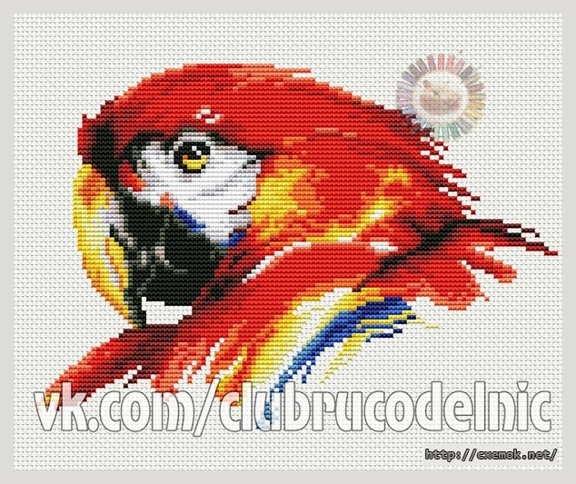Download embroidery patterns by cross-stitch  - Попугай