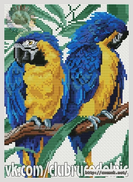 Download embroidery patterns by cross-stitch  - Попугаи