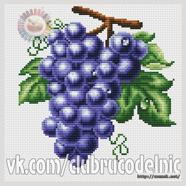 Download embroidery patterns by cross-stitch  - Виноград фиолетовый