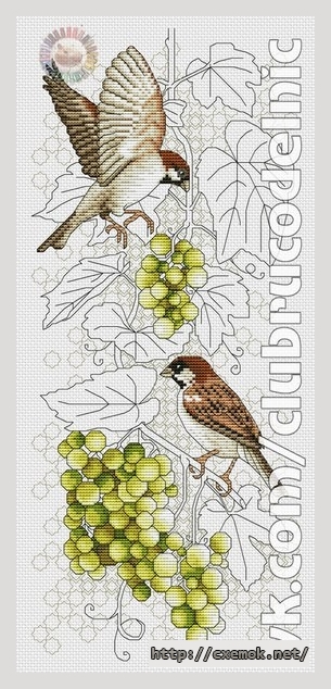 Download embroidery patterns by cross-stitch  - Воробьи и виноград