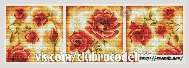 Download embroidery patterns by cross-stitch  - Роза триптих