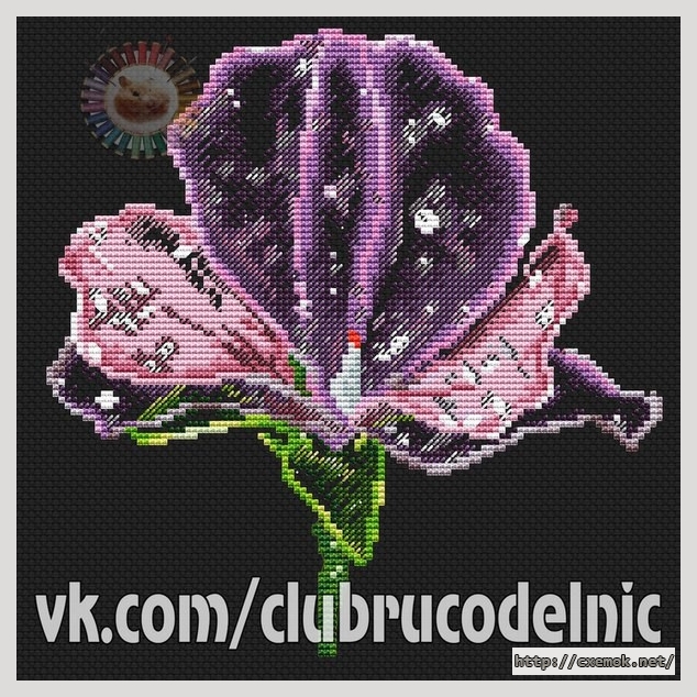 Download embroidery patterns by cross-stitch  - Анютыны глазки