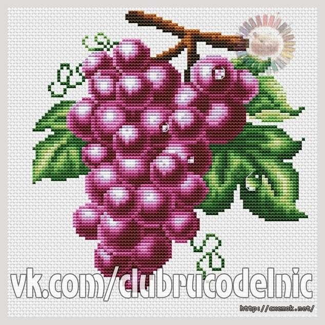 Download embroidery patterns by cross-stitch  - Виноград красный