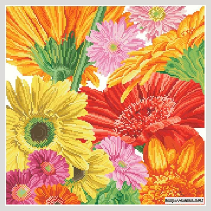 Download embroidery patterns by cross-stitch  - Gerbera daisies, author 