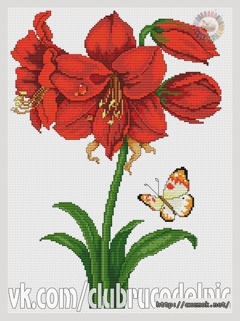 Download embroidery patterns by cross-stitch  - Амарилис