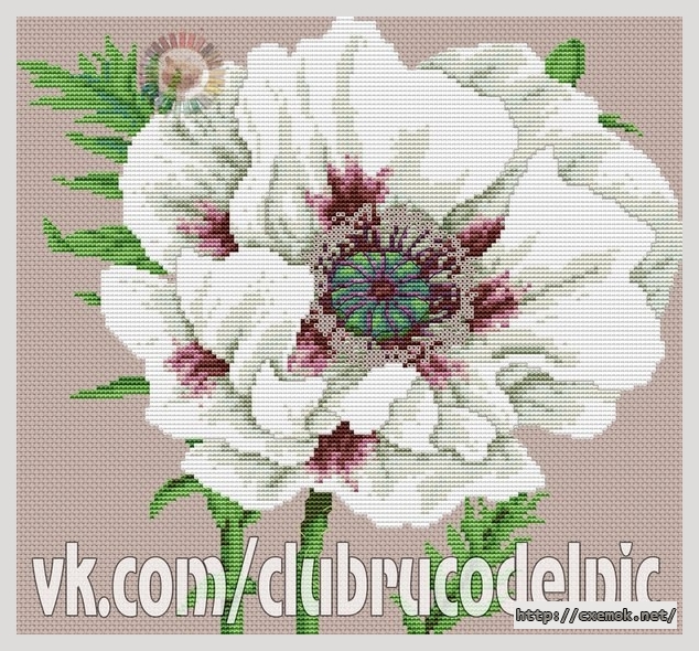 Download embroidery patterns by cross-stitch  - Драгоценные лепестки