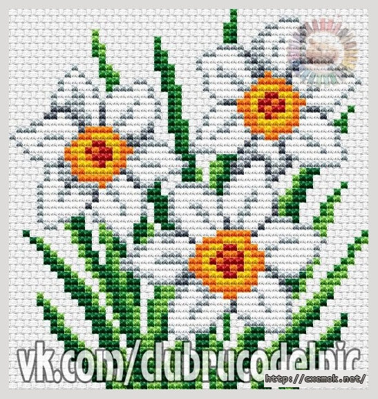 Download embroidery patterns by cross-stitch  - Нарциссы