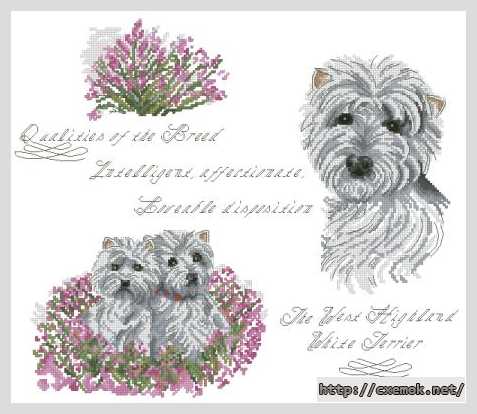Download embroidery patterns by cross-stitch  - Белый пёс