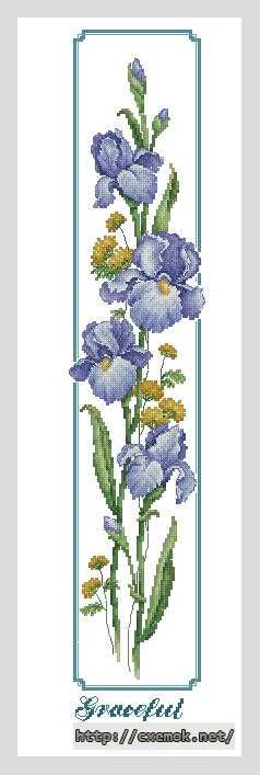 Download embroidery patterns by cross-stitch  - Панель с ирисами