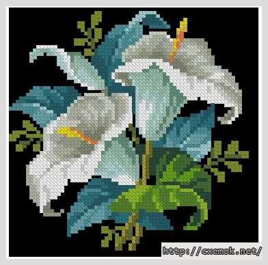 Download embroidery patterns by cross-stitch  - Каллы с голубым цветком