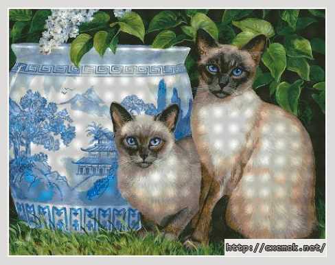 Download embroidery patterns by cross-stitch  - Сиамские кошки