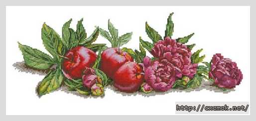 Download embroidery patterns by cross-stitch  - Пионы и яблоки