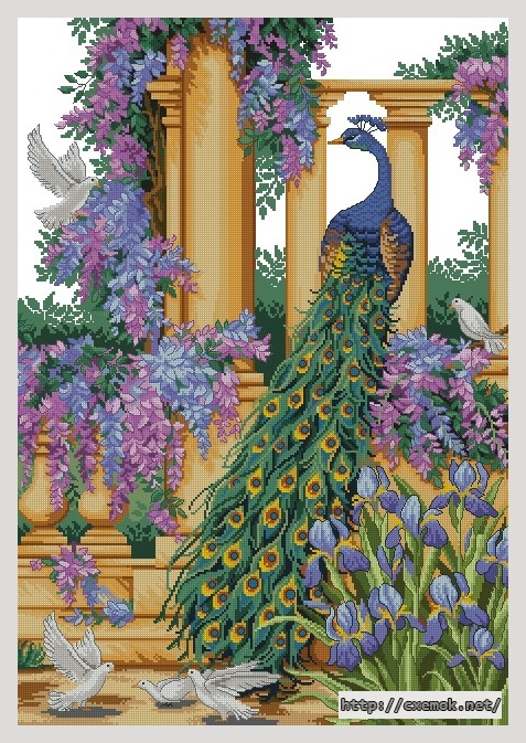 Скачать схемы вышивки нитками / крестом  - The peacock, автор 