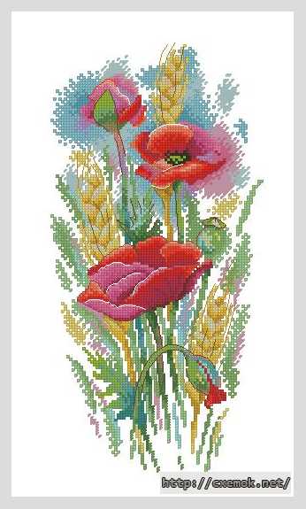 Download embroidery patterns by cross-stitch  - Полевые маки