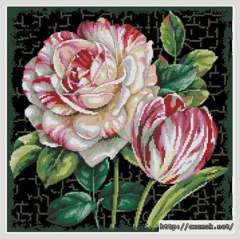 Download embroidery patterns by cross-stitch  - Роза и тюльпан