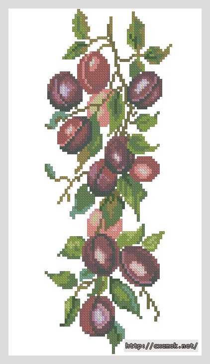 Download embroidery patterns by cross-stitch  - Сливы