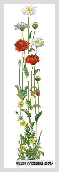 Download embroidery patterns by cross-stitch  - Панель. ромашки с маками