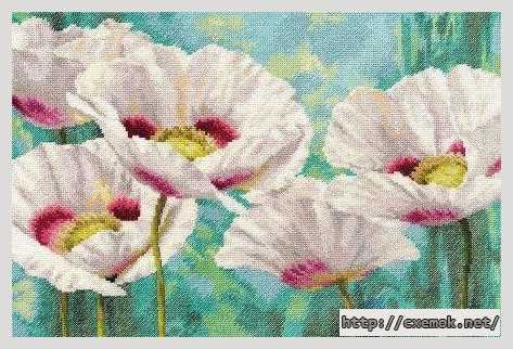 Download embroidery patterns by cross-stitch  - Белые маки