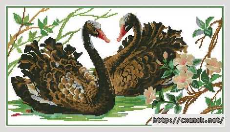 Download embroidery patterns by cross-stitch  - Пара черных лебедей