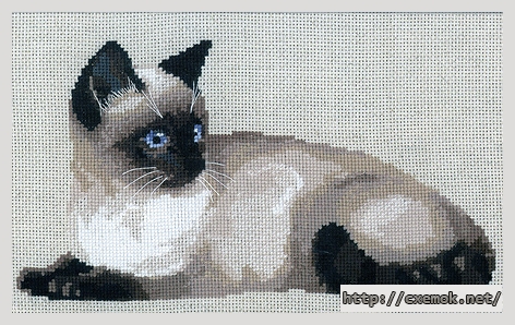 Download embroidery patterns by cross-stitch  - Тайская кошка, author 