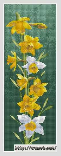 Download embroidery patterns by cross-stitch  - Цветочные панели. нарциссы