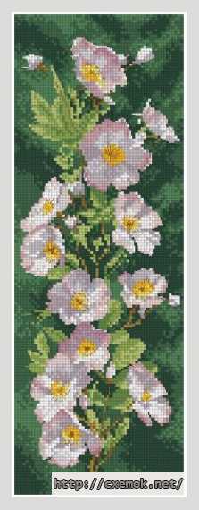 Download embroidery patterns by cross-stitch  - Цветочные панели. шиповник