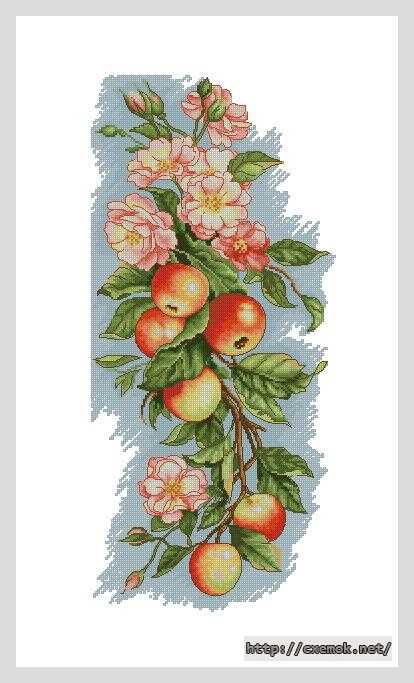 Скачать схему вышивки нитками Цветы и яблоки