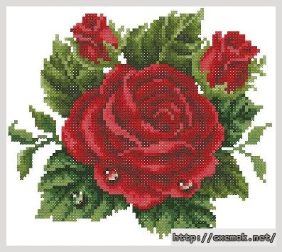 Download embroidery patterns by cross-stitch  - Роза с росой