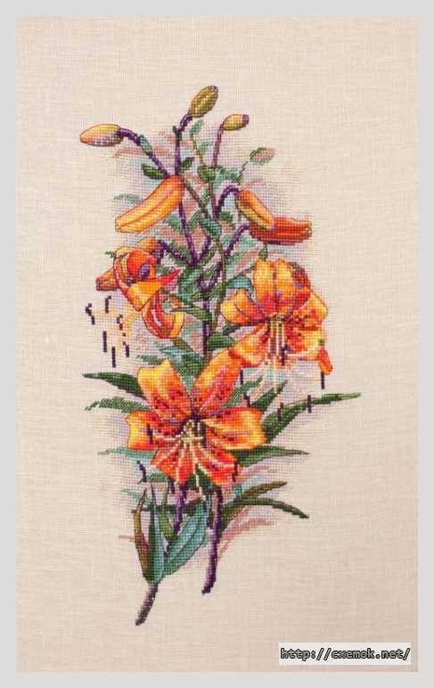 Download embroidery patterns by cross-stitch  - Винтажные лилии