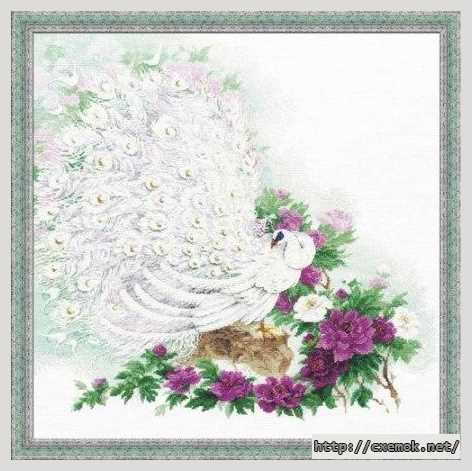 Download embroidery patterns by cross-stitch  - Белый павлин