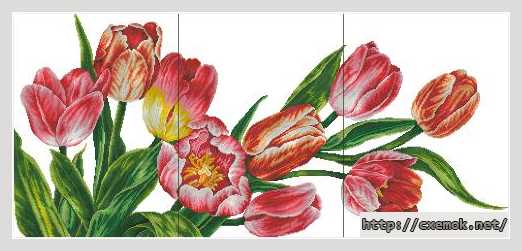 Download embroidery patterns by cross-stitch  - Триптих с тюльпанами