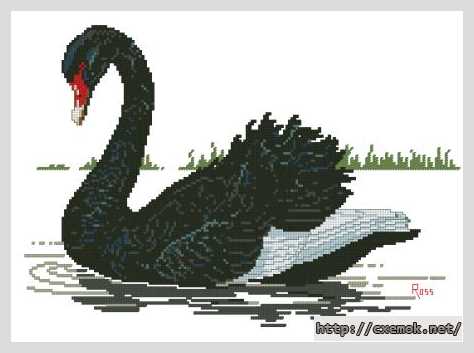 Download embroidery patterns by cross-stitch  - Черный лебедь