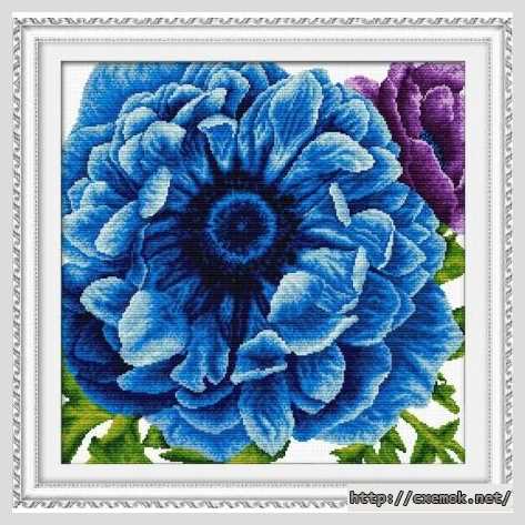 Download embroidery patterns by cross-stitch  - Анемона